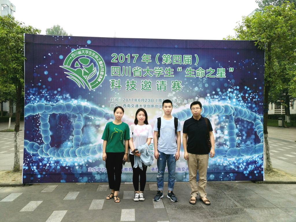 团队合影